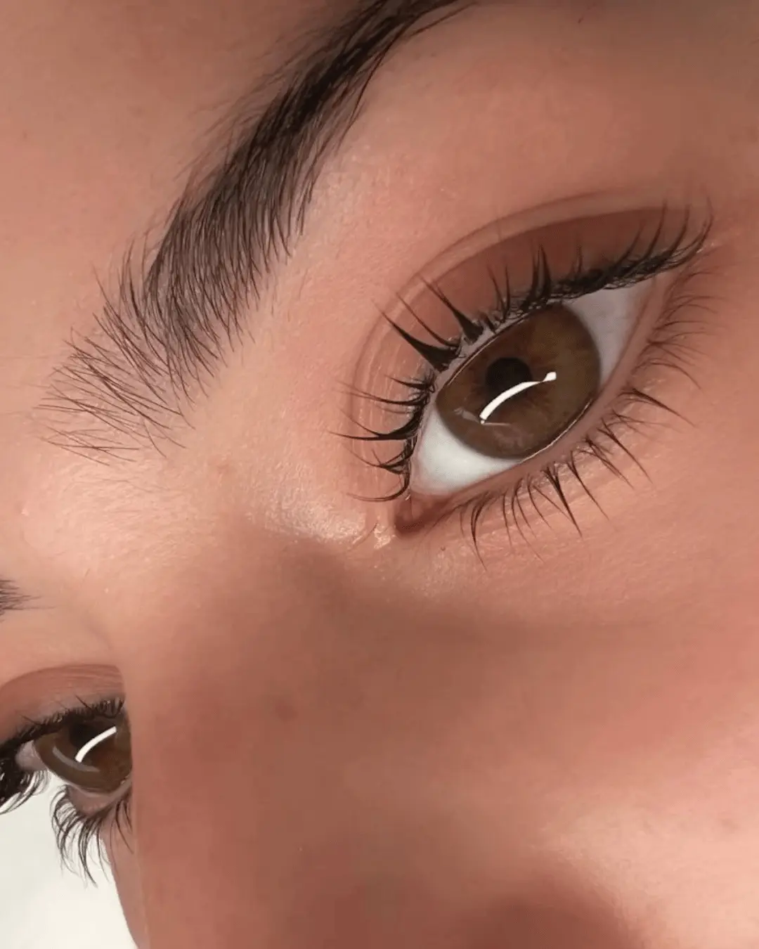 Lash lift and tint result